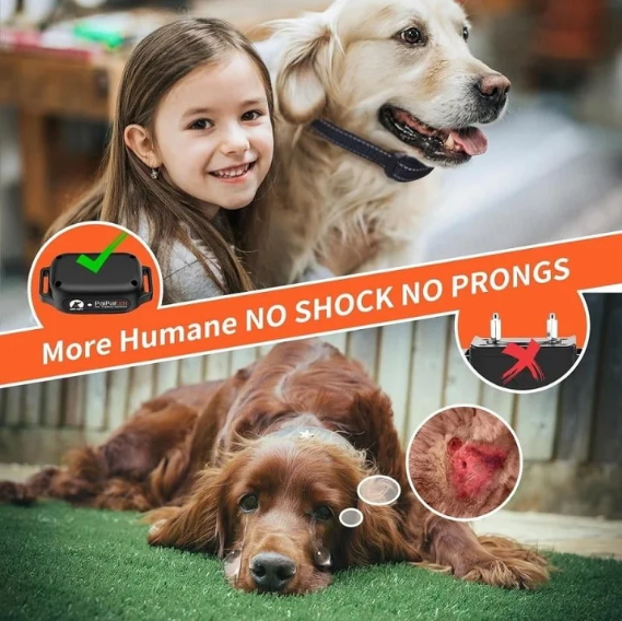 PaiPaitek No Shock Dog Training Collar with Remote 3300ft Range, Vibrating Dog Collar Beep&Vibrate Only,Waterproof&Rechargeable,Buzz Collar for Dogs 5-120 lbs