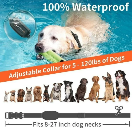 PaiPaitek No Shock Dog Training Collar with Remote 3300ft Range, Vibrating Dog Collar Beep&Vibrate Only,Waterproof&Rechargeable,Buzz Collar for Dogs 5-120 lbs