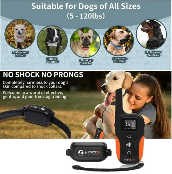PaiPaitek No Shock Dog Training Collar with Remote 3300ft Range, Vibrating Dog Collar Beep&Vibrate Only,Waterproof&Rechargeable,Buzz Collar for Dogs 5-120 lbs