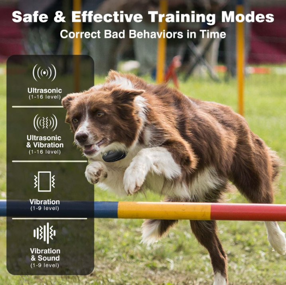 PaiPaitek No Shock Dog Training Collar with Remote, 3300ft Long Range, Humane Vibration & Ultrasonic Collar with Beep, Security Lock, No Prongs for Small Medium Large Dogs