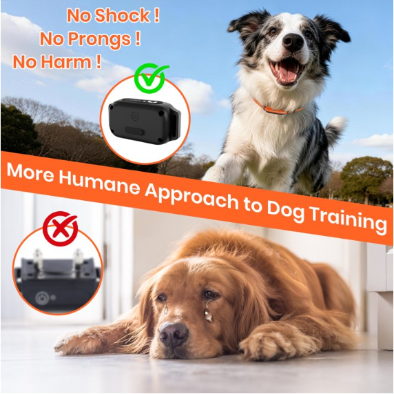 Paipaitek No Shock Dog Training Collar with Remote, 3300ft Long Range, Humane Vibration & Ultrasonic Collar with Beep, Security Lock, No Prongs for Small Medium Large Dogs,Orange