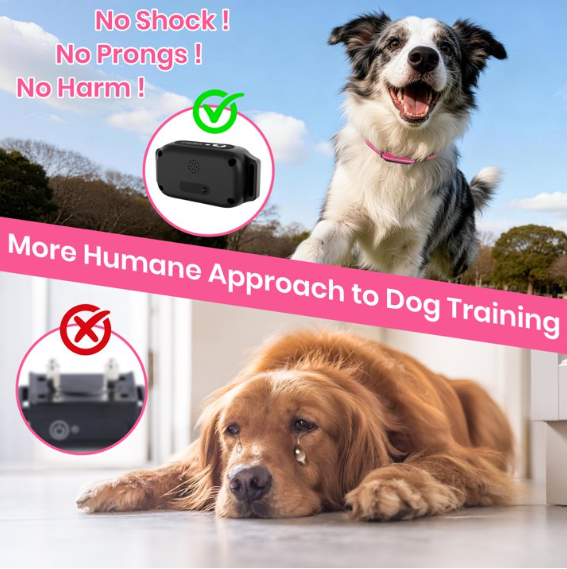 Paipaitek No Shock Dog Training Collar with Remote, 3300ft Long Range, Humane Vibration & Ultrasonic Collar with Beep, Security Lock, No Prongs for Small Medium Large Dogs,Pink