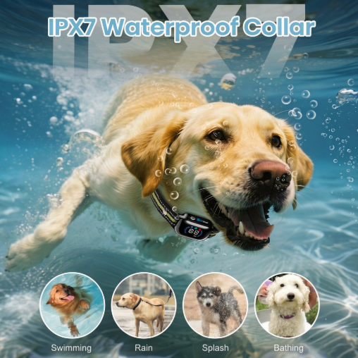 Paipaitek Dog Training Collar with Remote,2-in-1 Dog Shock Collar & Auto Bark Collar,3300FT Range,Waterproof Shock Collar for Small Medium Large Dogs,Green,For 2 Dogs