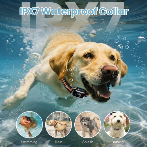 Paipaitek Dog Training Collar with Remote,2-in-1 Dog Shock Collar & Auto Bark Collar,3300FT Range,Waterproof Shock Collar for Small Medium Large Dogs,Orange