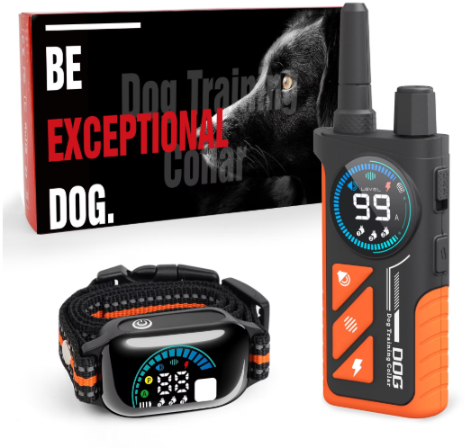 Paipaitek Collar de adiestramiento para perros con mando a distancia, 3 modos de entrenamiento con 124 niveles de corrección, pantalla LED de doble color, collar electrónico recargable con impermeabilidad IPX7 para perros pequeños, medianos y grandes