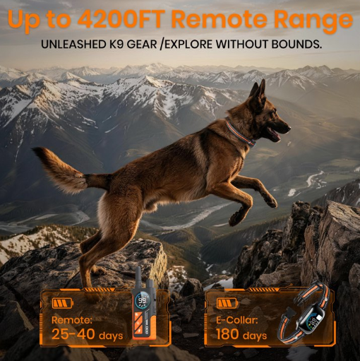 Paipaitek Collar de adiestramiento para perros con mando a distancia, 3 modos de entrenamiento con 124 niveles de corrección, pantalla LED de doble color, collar electrónico recargable con impermeabilidad IPX7 para perros pequeños, medianos y grandes