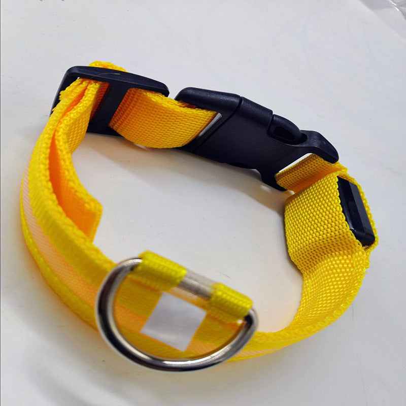 DTCOLLAR LED Collar for Dog  Anti-lost At Night Adjustable Nylon Webbing, Battery-Powered Night Safety for Dogs & Cats