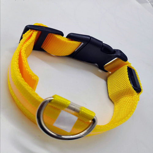 DTCOLLAR LED Collar for Dog  Anti-lost At Night Adjustable Nylon Webbing, Battery-Powered Night Safety for Dogs & Cats
