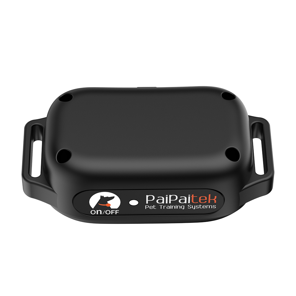 PD 523V remote dog training collar without shock
