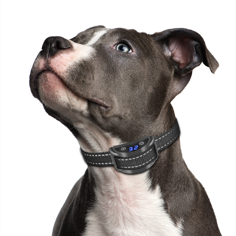 PD 259B Shock Anti Barking Collar