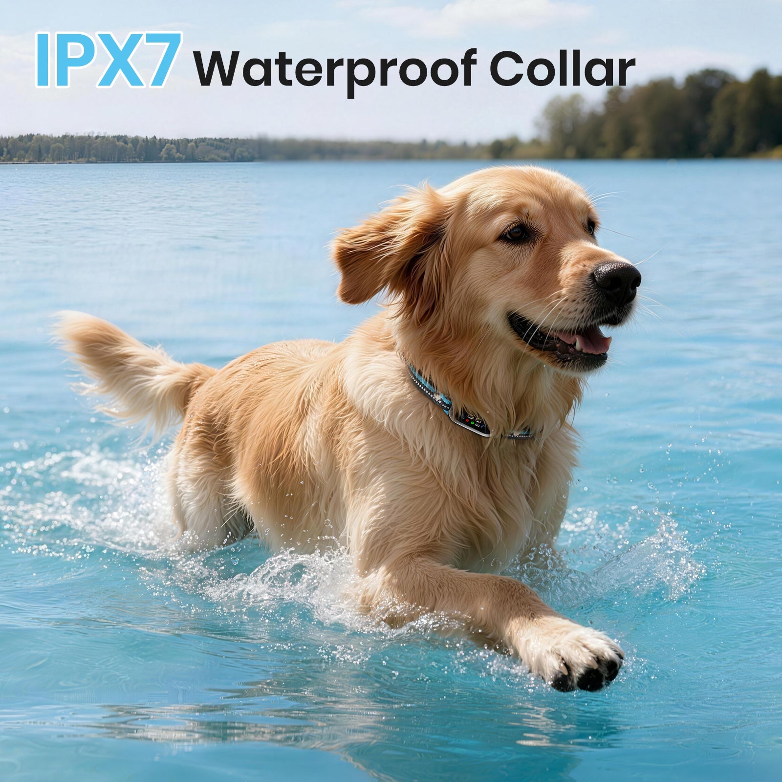 PetJoy 2 in 1 Dog Training Collar with Remote 2 Dogs，4 Modes Dog Shock Collar ，3300Ft Anti Bark Collar for Small Large Dogs,IPX7 Waterproof