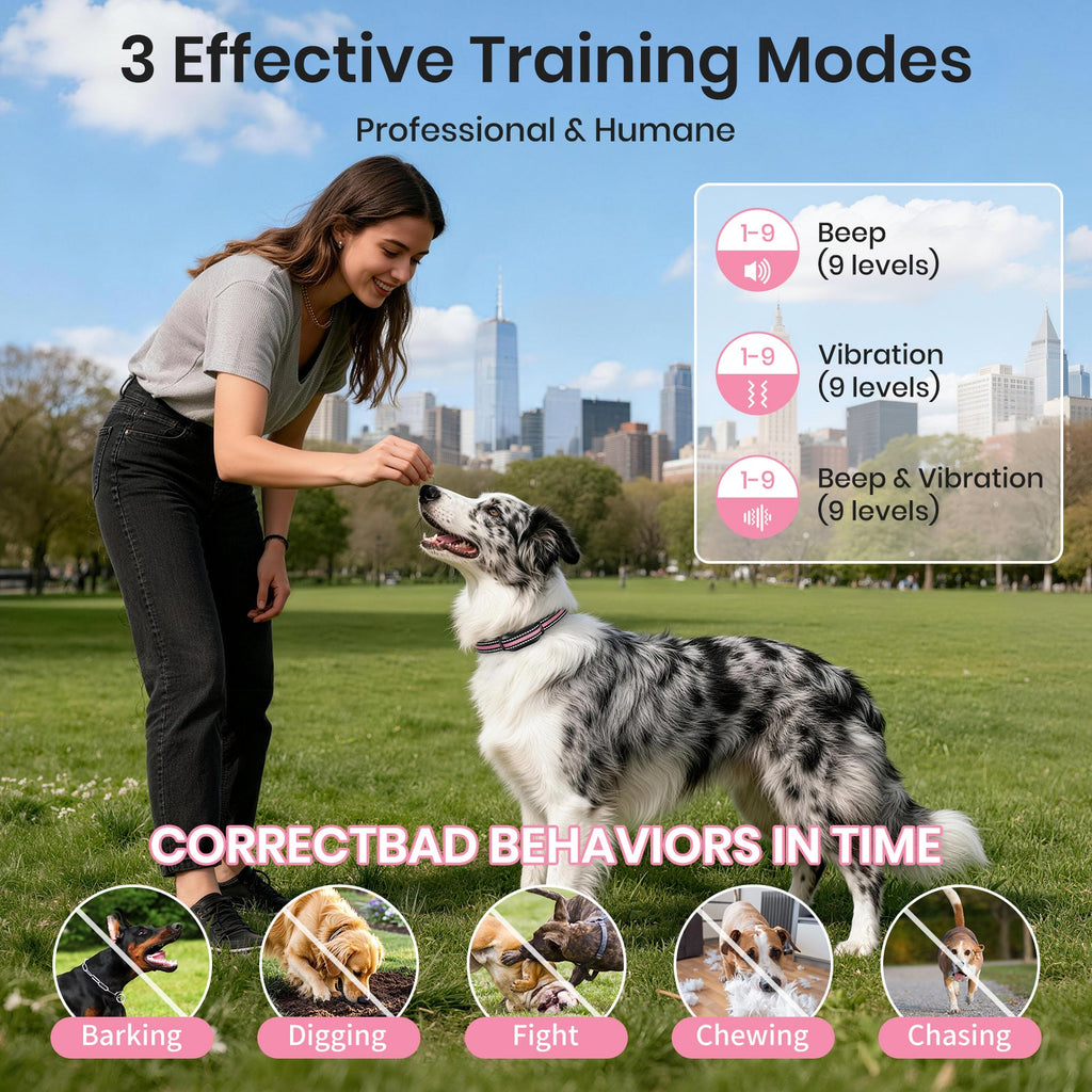 PetJoy No Shock Dog Training Collar with Remote 2 Dogs,3300ft Vibrating Dog Collar with Beep &Vibration,IPX7 Waterproof Dog Bark Collar No Shock for 5-120lbs Dogs，No Prongs