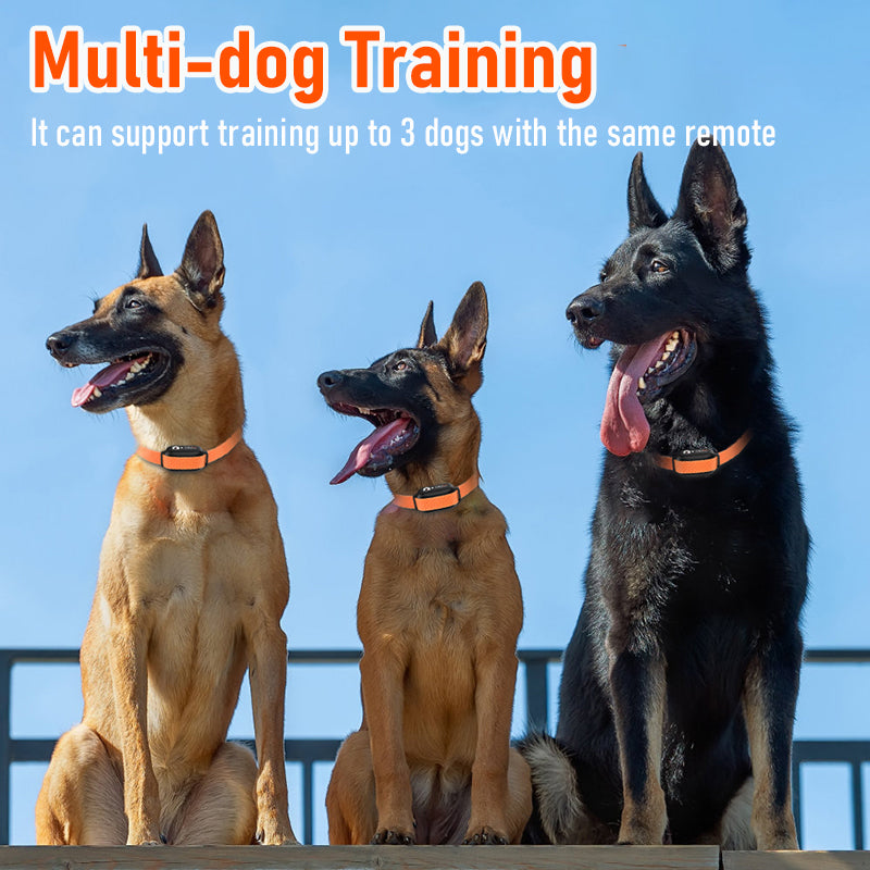 3300ft Range Rechargeable Waterproof Shock Ecollar Dog Training With 4 Training Modes