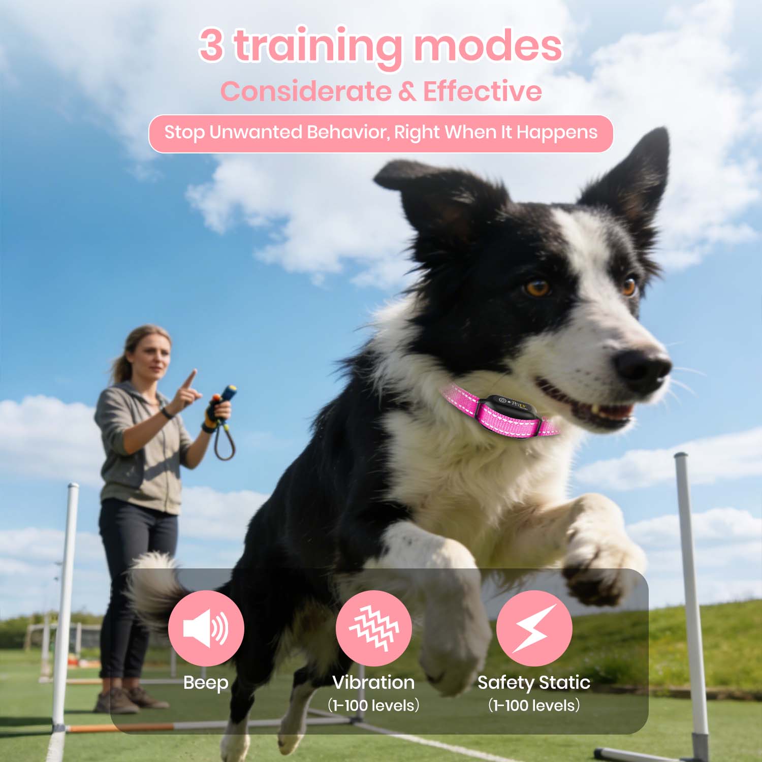 Petjoy Dog Training Collars for 2 Dogs,Shock Collar with Remote for Medium Large Dogs, Rechargeable Auto Bark Collar, 3 Training Mode, Remote Range 2800 Ft,IPX7 Waterproof