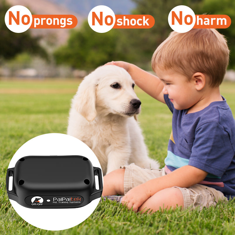 PD 523V remote dog training collar without shock