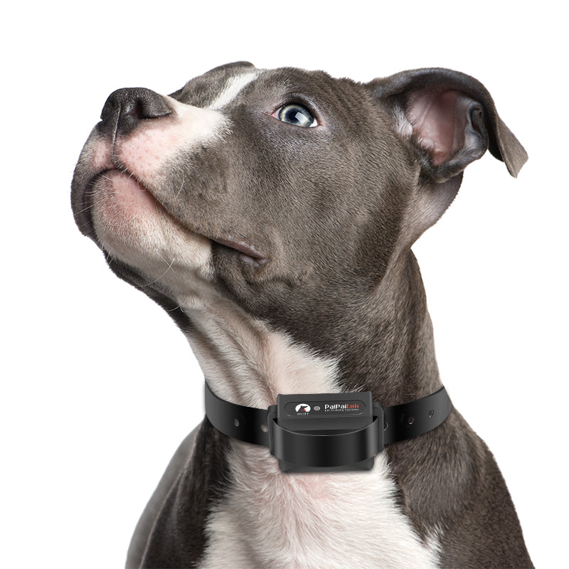 PD 525-TIO 2 IN 1 Dog Remote Training Collar Automatic Stop Barking With Shock