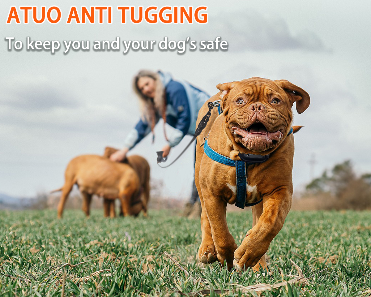 PD 800 PaiPaitek Dog Shock Collar with Smart Training Leash, 3300ft Waterproof Electric Collar with 3 Training Manual Options And Automatic Stop Pull
