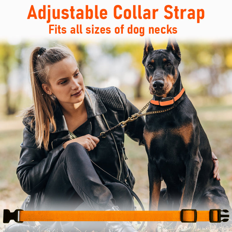 3300ft Range Rechargeable Waterproof Shock Ecollar Dog Training With 4 Training Modes