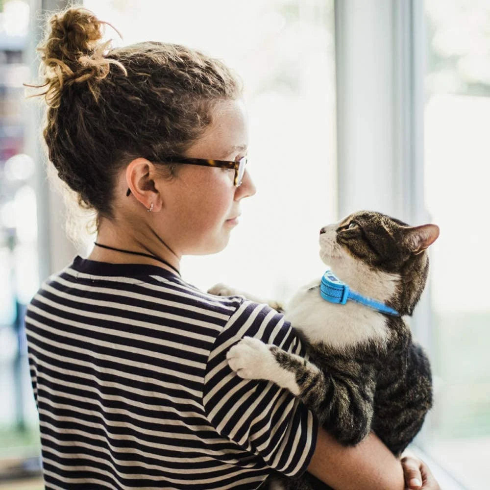 PaiPaitek Cat Shock Collar, Beep, Vibration and Shock 3 Modes to Auto Stop Meowing, Lightest Safe Shock Collar for Small Cats 5-15lbs & Medium Large Cats, Waterproof & Rechargeable