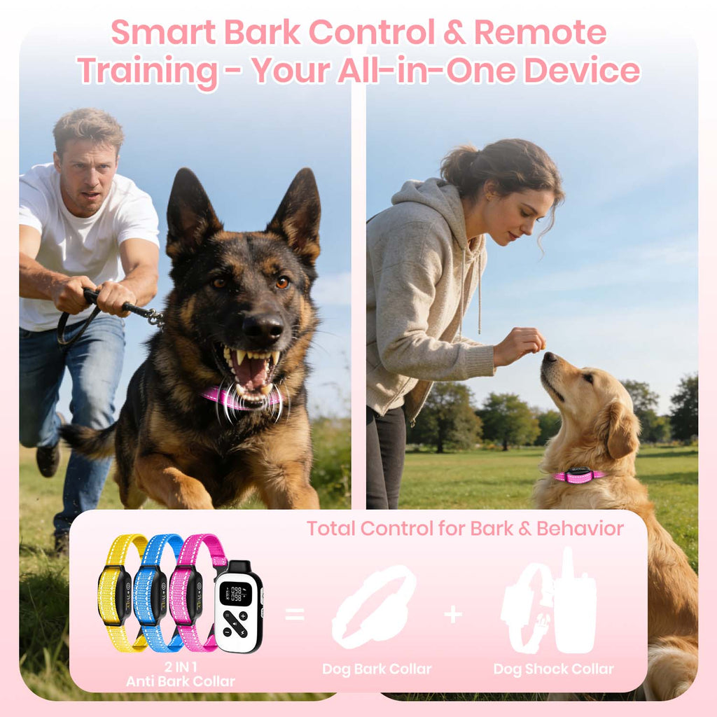 Petjoy Dog Training Collar for 3 Dogs,Dog Shock Collar with Remote,3600Ft Range Training and Auto Anti Bark Collar,3 Modes-Beep,Vibration& Shock,IPX7 Waterproof