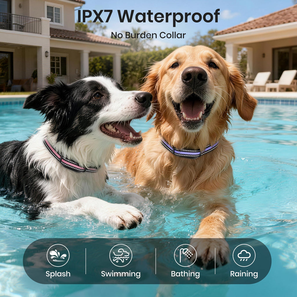 PetJoy No Shock Dog Training Collar with Remote 2 Dogs,3300ft Vibrating Dog Collar with Beep &Vibration,IPX7 Waterproof Dog Bark Collar No Shock for 5-120lbs Dogs，No Prongs