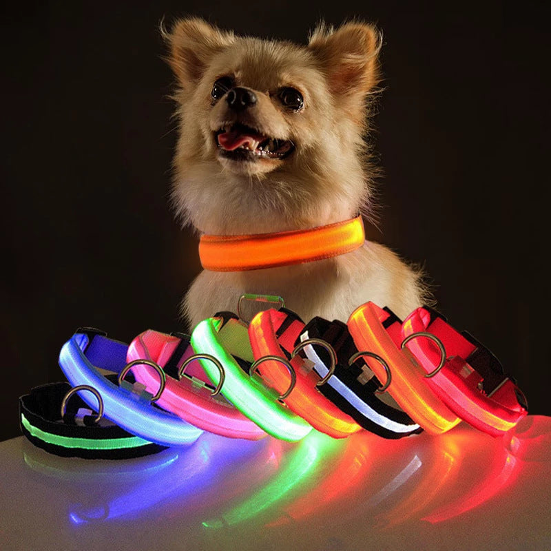 DTCOLLAR LED Collar for Dog  Anti-lost At Night Adjustable Nylon Webbing, Battery-Powered Night Safety for Dogs & Cats