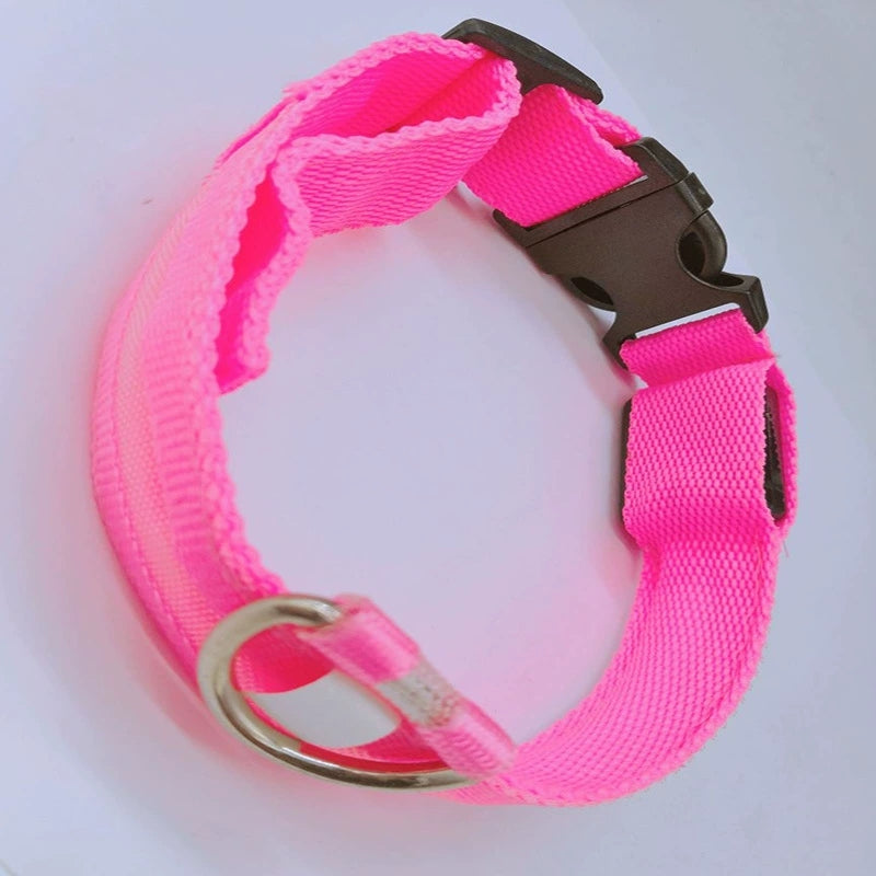 DTCOLLAR LED Collar for Dog  Anti-lost At Night Adjustable Nylon Webbing, Battery-Powered Night Safety for Dogs & Cats