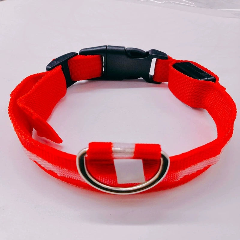 DTCOLLAR LED Collar for Dog  Anti-lost At Night Adjustable Nylon Webbing, Battery-Powered Night Safety for Dogs & Cats