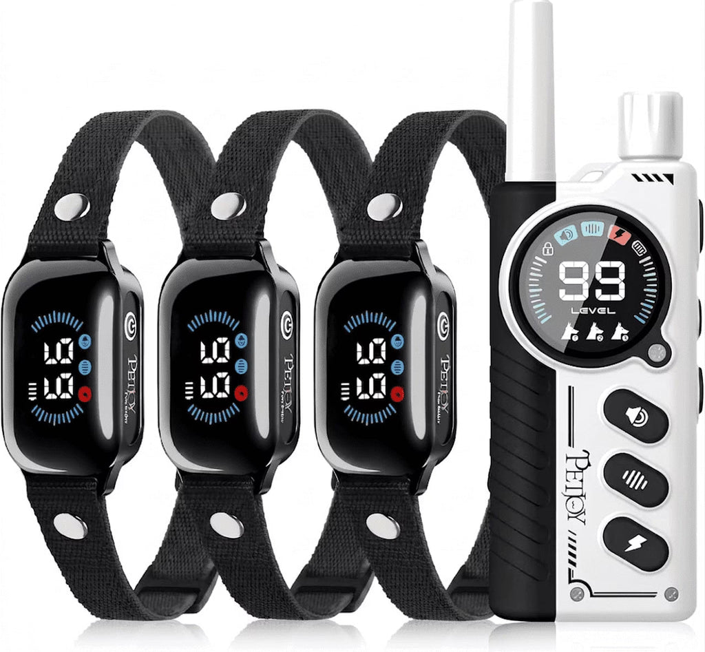 Paipaitek Dog Training Collar for 3 Dogs,4000ft Remote,Safety Shock Lock,9 Tones,Blue,for 3 dog