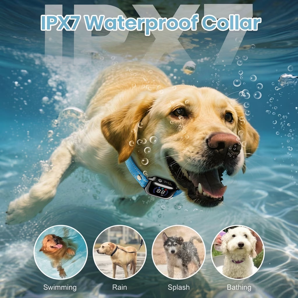 Paipaitek Dog Training Collar for 3 Dogs,4000ft Remote,Safety Shock Lock,9 Tones,White,for 2 dog