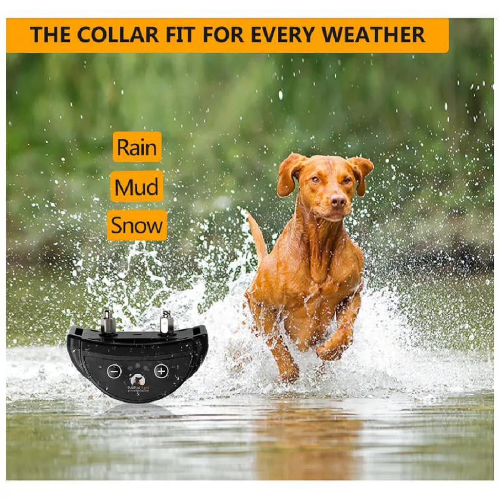 Paipaitek Dog Bark Collar,Automatic Shock & Beep,Waterproof & Rechargeable,For Small to Large Dogs,Black,3pcs