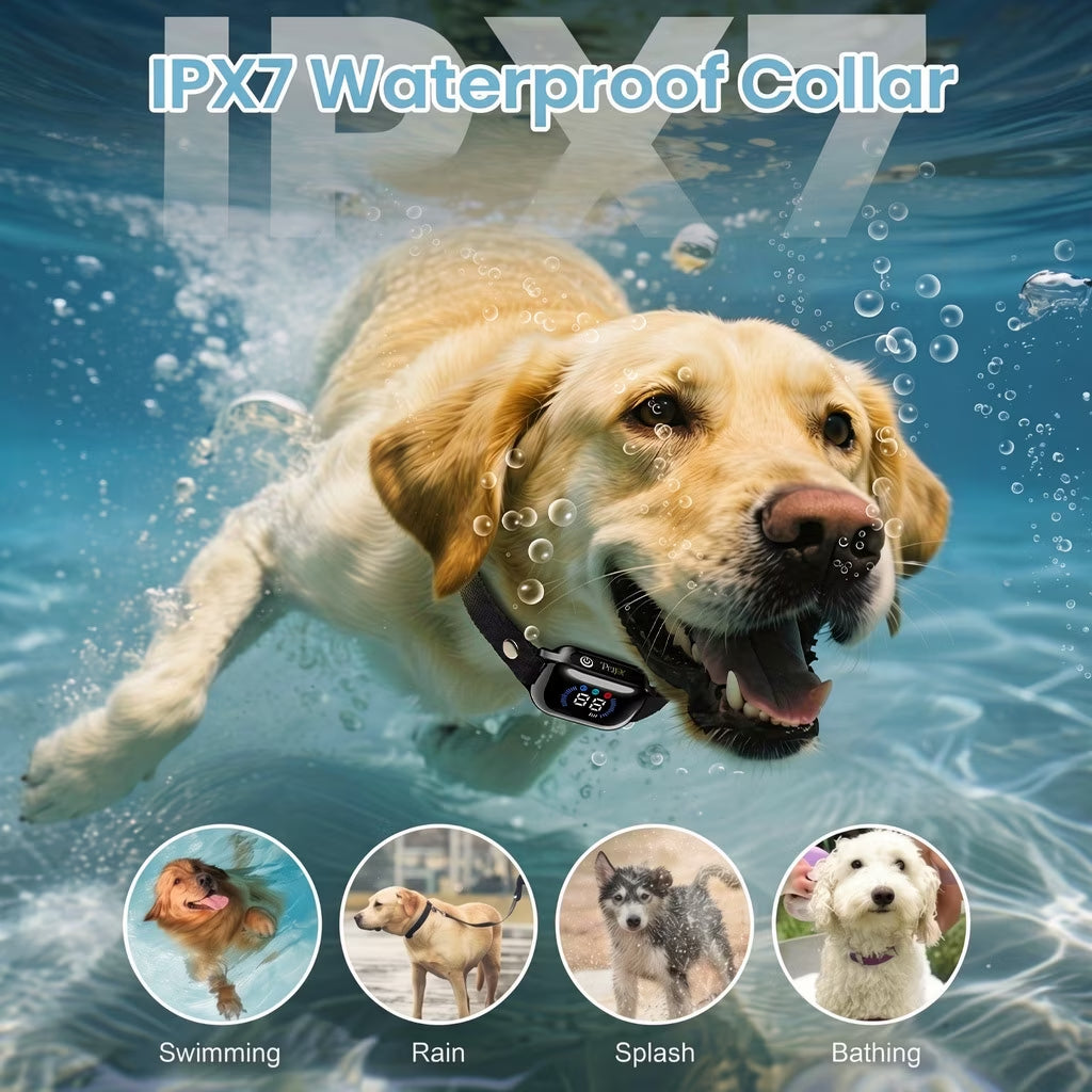 Paipaitek Dog Training Collar for 3 Dogs,4000ft Remote,Safety Shock Lock,9 Tones,Blue,for 2 dog
