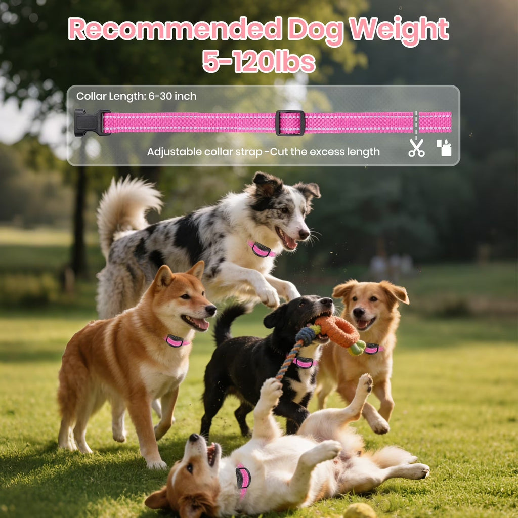 PetJoy 3 Dog Bark Collar，Automatic Barking Dog Shock Collar for Large Small Dogs 8-120lbs,5 Adjustable Levels of Sensitivity，IPX7 Waterproof