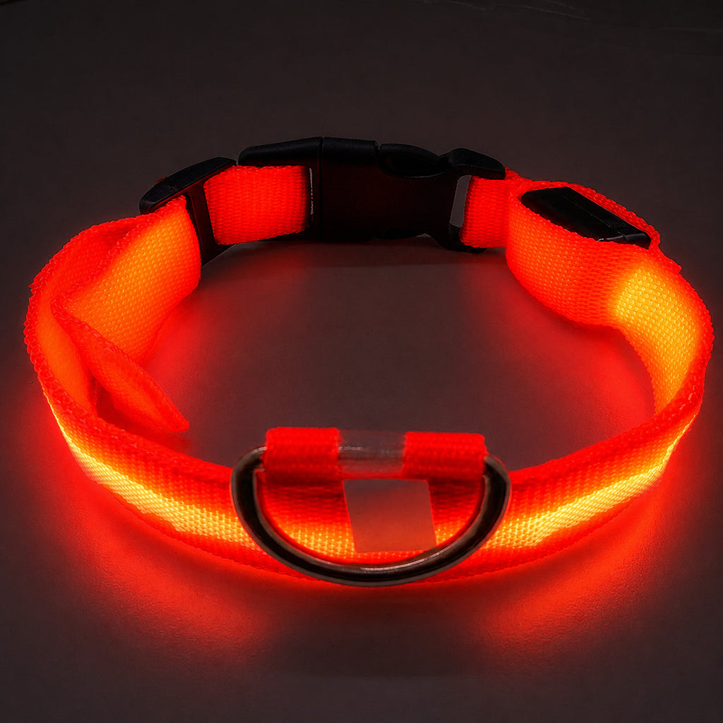 DTCOLLAR LED Collar for Dog  Anti-lost At Night Adjustable Nylon Webbing, Battery-Powered Night Safety for Dogs & Cats
