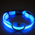 DTCOLLAR LED Collar for Dog  Anti-lost At Night Adjustable Nylon Webbing, Battery-Powered Night Safety for Dogs & Cats