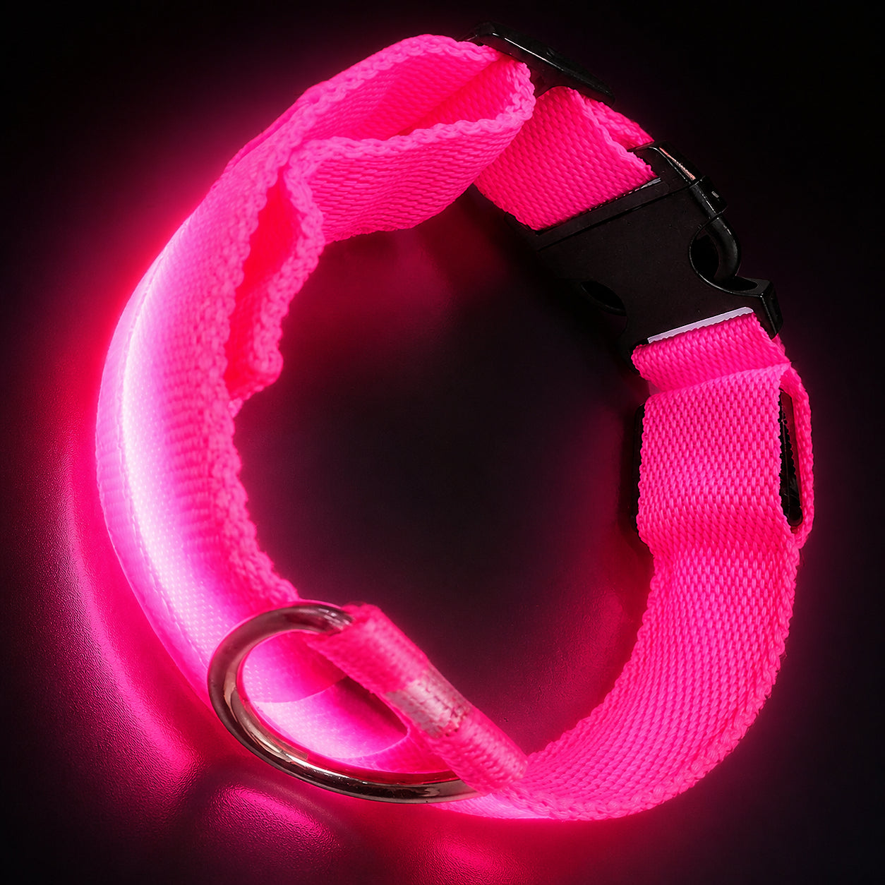 DTCOLLAR LED Collar for Dog  Anti-lost At Night Adjustable Nylon Webbing, Battery-Powered Night Safety for Dogs & Cats
