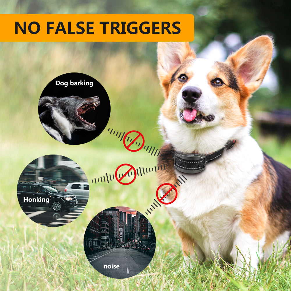 PD 259B Shock Anti Barking Collar