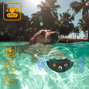PD 520V No Shock  Remote Dog Training Collar