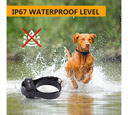 PD 525-TIO 2 IN 1 Dog Remote Training Collar Automatic Stop Barking With Shock