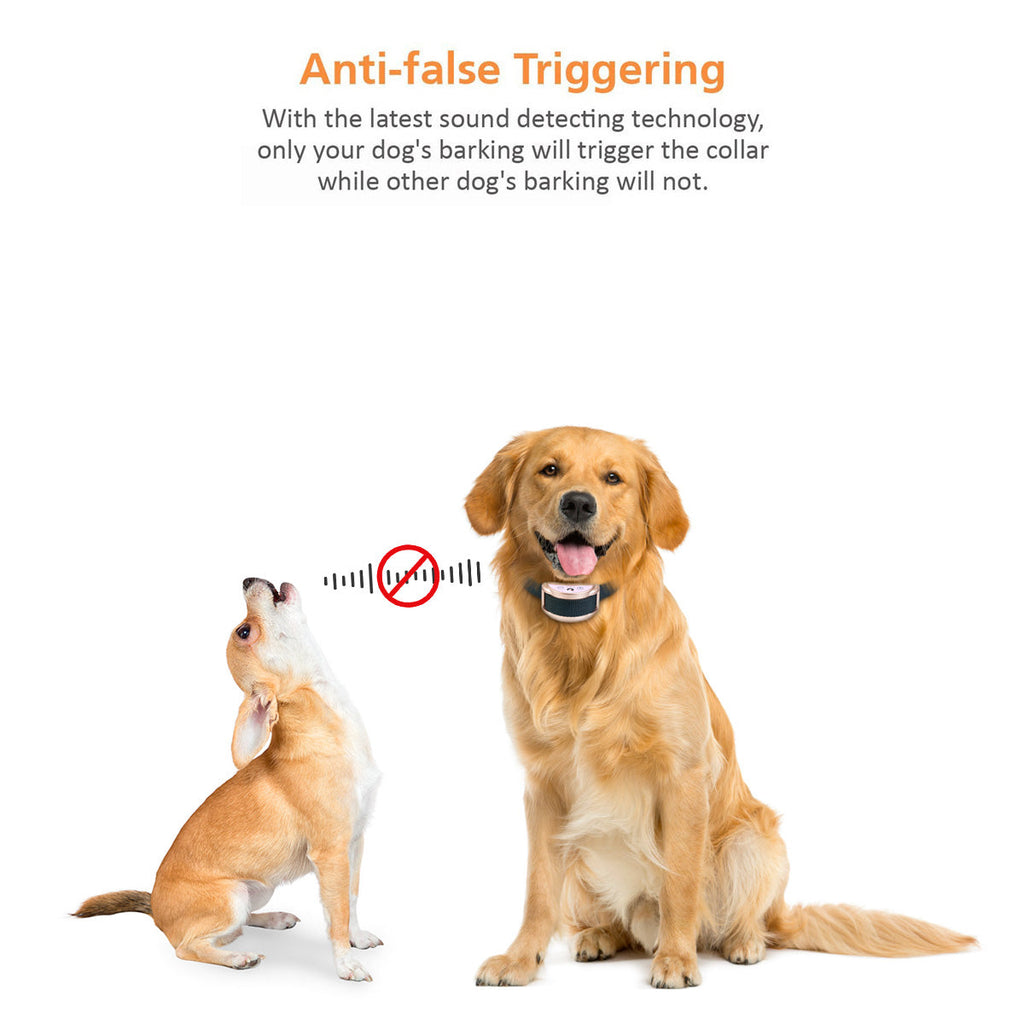 PD 258S Anti Barking Collar With Shock
